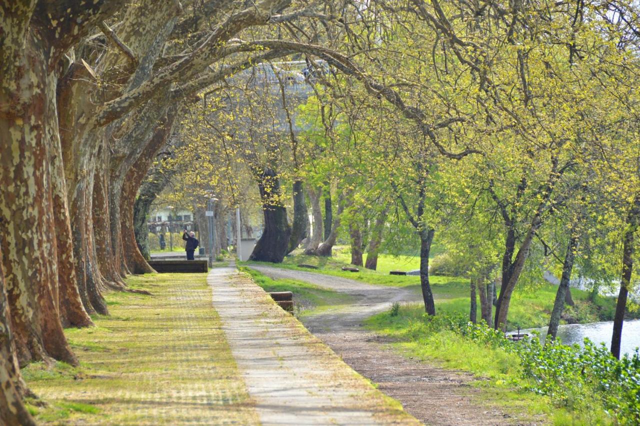 Penzion Casa Da Ferreirinha Faldejaes Exteriér fotografie